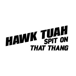 Hawk Tuah - Spit on that thang 3