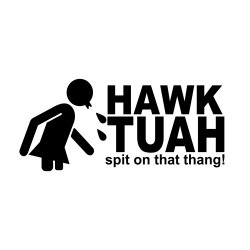 Hawk Tuah - Spit on that thang 5
