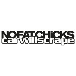 No fat chicks - Car will scrape 2