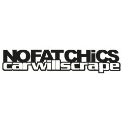 No fat chics - Car will scrape 1