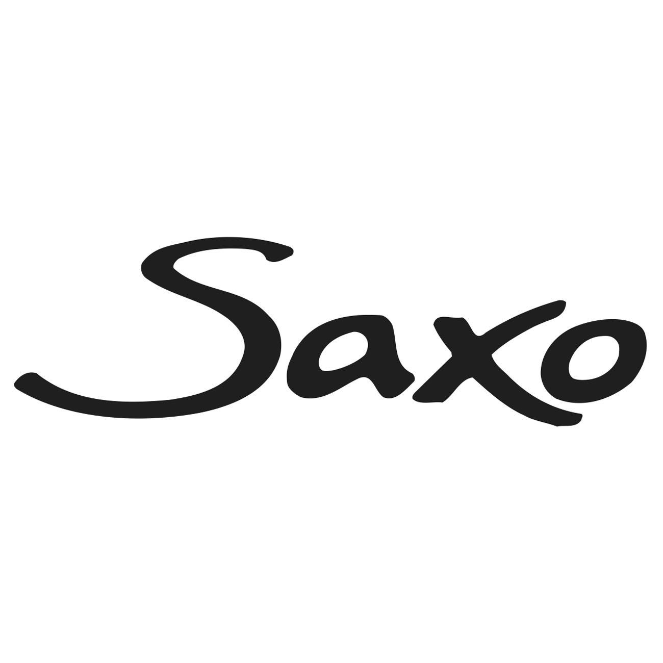 Citr&ouml;en Saxo logo