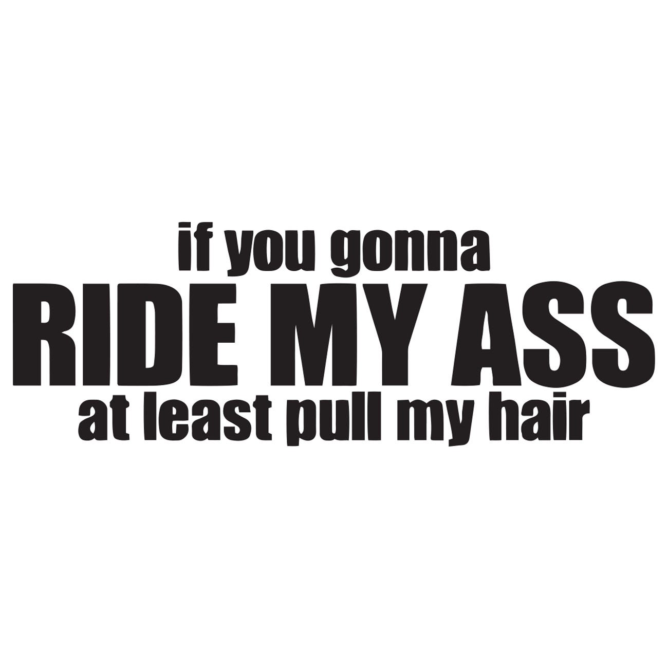 If you gonna ride my ass - At least pull my hair