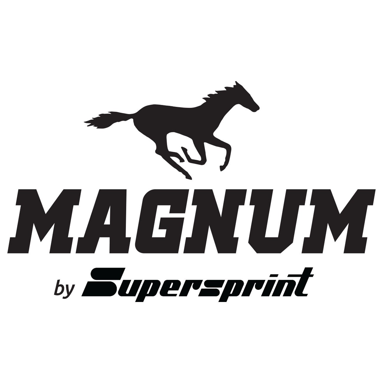 Magnum by Supersprint 1