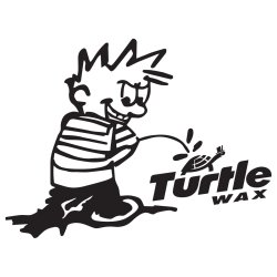 Steen pisser p Turtle Wax