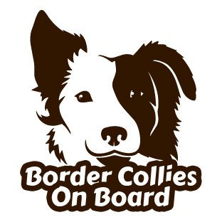Border collies on board