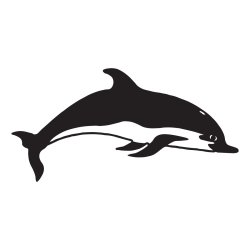 delfin