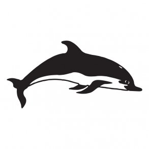 delfin
