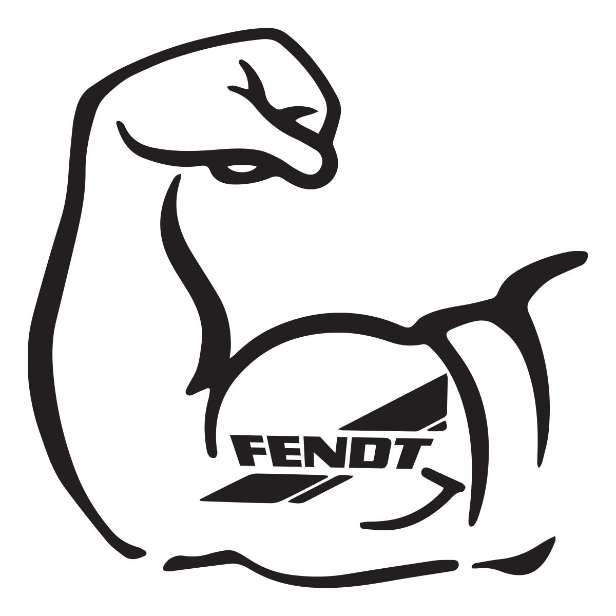 fendt strong arm