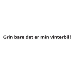 grin bare det er min vinterbil