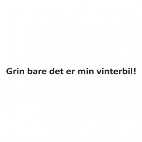 grin bare det er min vinterbil