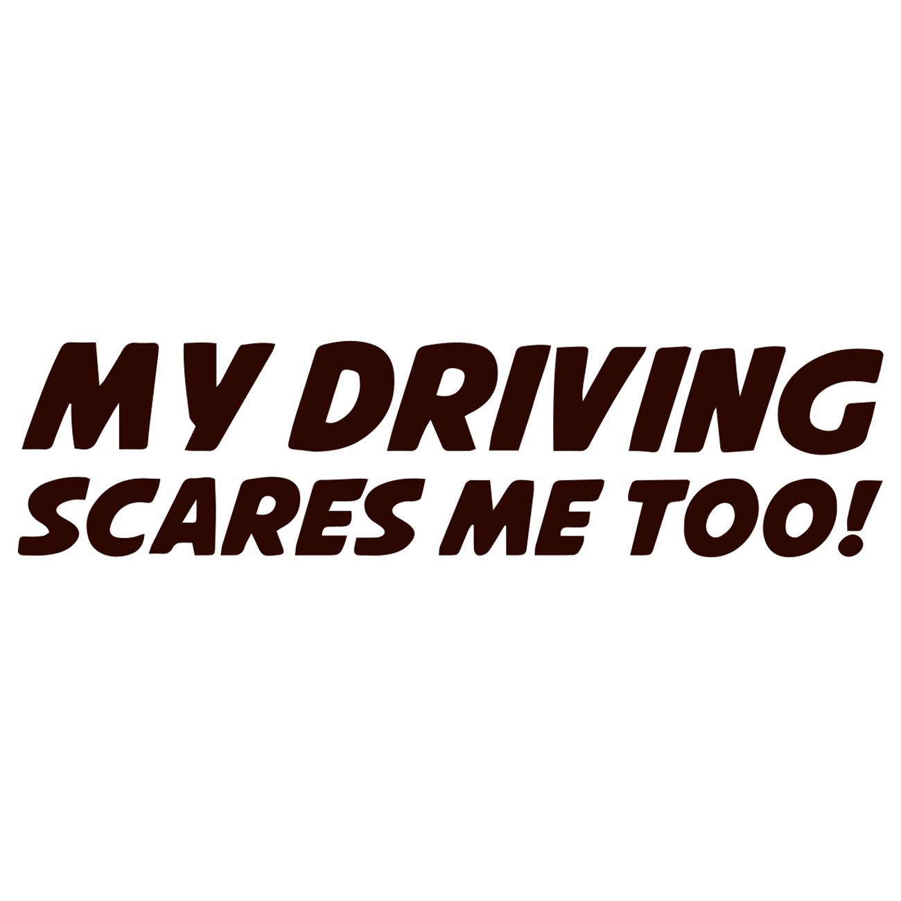 My driving scares me too2