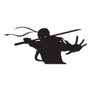 ninja2