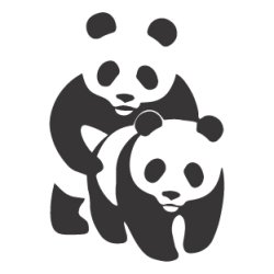 Panda love