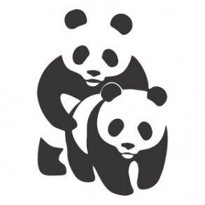 Panda love