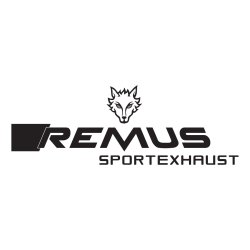remus logo