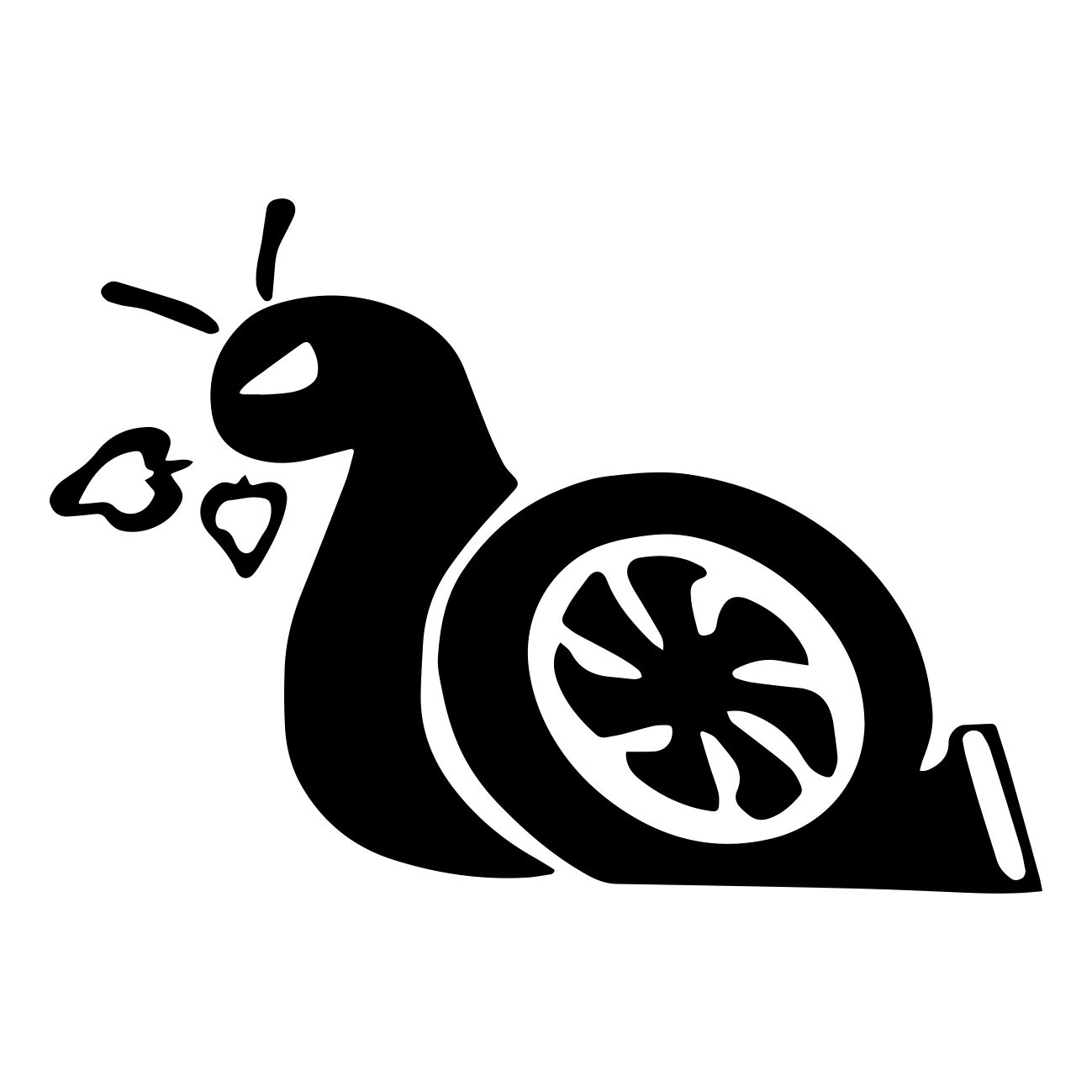 turbo snail